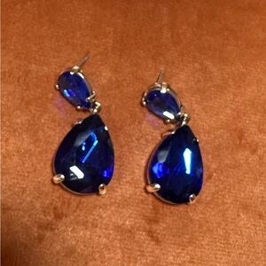 Elegant Blue Drop Earrings